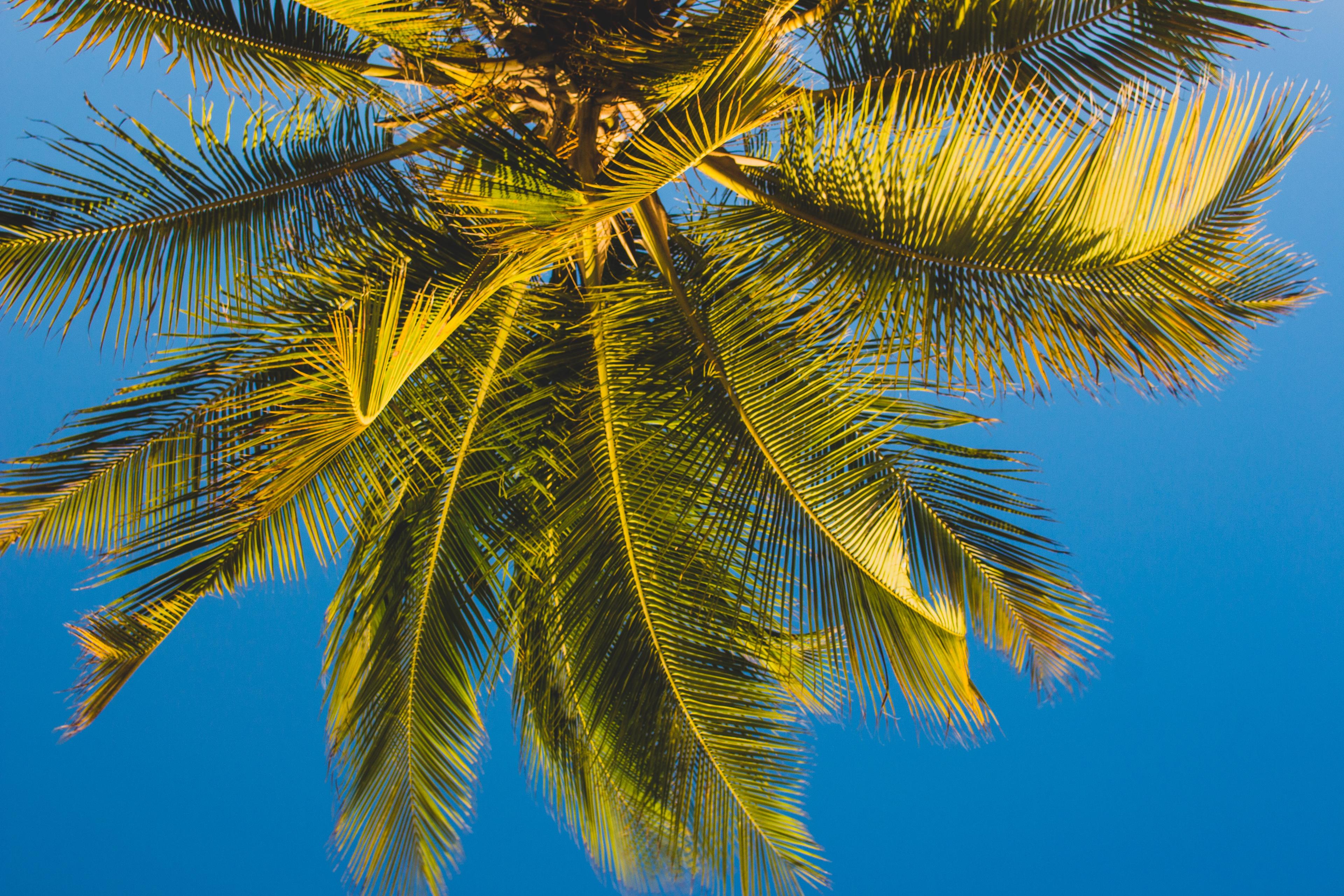 Three of Our Favourite Experiences in Curaçao